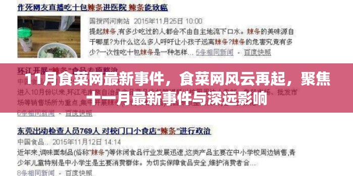 食菜网风云再起，聚焦最新事件及其深远影响