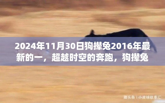 仓储物流园 第498页