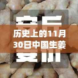 探寻历史生姜行情,励志之旅中的自信与成就感之源——中国生姜价格变迁的启示(11月30日篇)