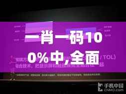 一肖一码100%中,全面计划解析_社交版30.485-7