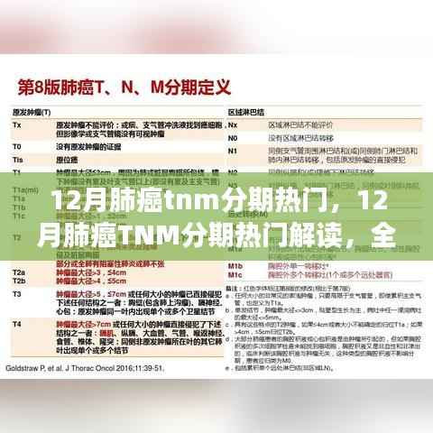全面解读肺癌TNM分期,科学应对治疗挑战,洞悉肺癌分期热门知识