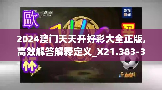 2024澳门天天开好彩大全正版,高效解答解释定义_X21.383-3