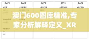 澳门600图库精准,专家分析解释定义_XR97.789-7