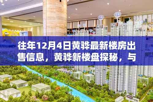 黄骅最新楼盘探秘，与自然美景共舞的心灵港湾，往年12月4日最新出售信息