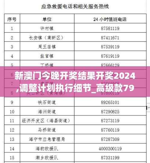 新澳门今晚开奖结果开奖2024,调整计划执行细节_高级款79.869