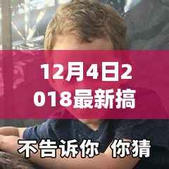 2018年12月4日搞笑表情包风靡网络,影响力洞察与时代背景