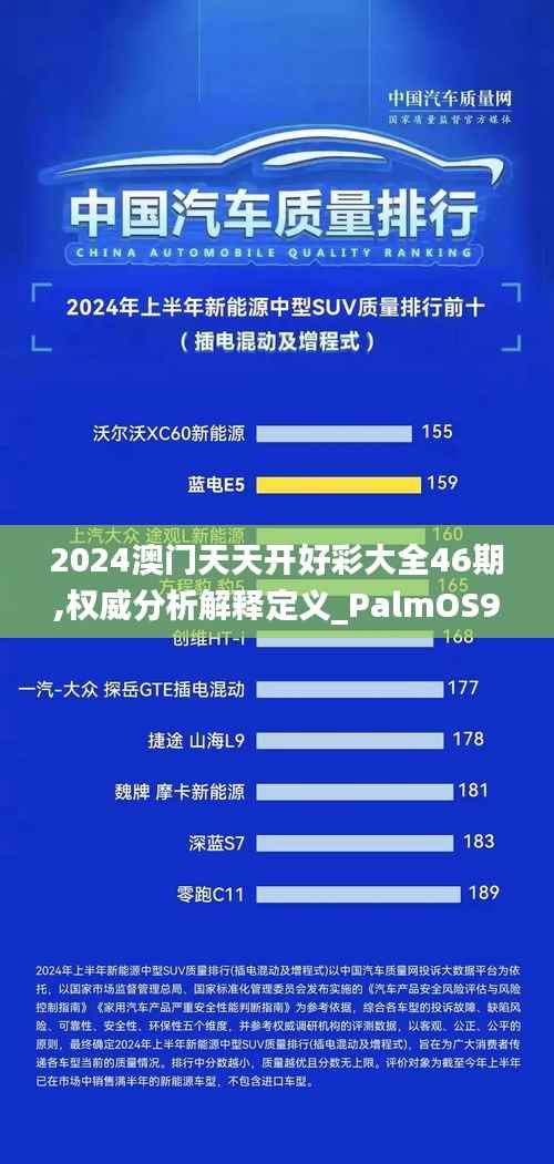 2024澳门天天开好彩大全46期,权威分析解释定义_PalmOS9.937