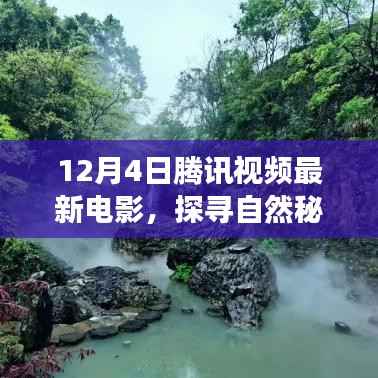 腾讯视频最新电影,探寻自然秘境的心灵之旅