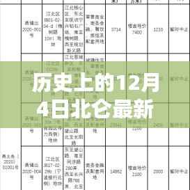 历史上的12月4日北仑最新土拍房，全攻略与步骤指南