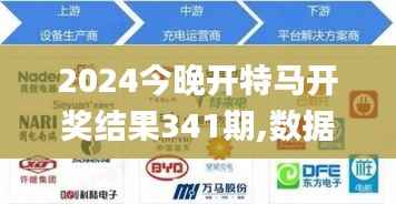 2024今晚开特马开奖结果341期,数据导向执行策略_静态版9.241