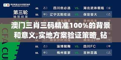澳门三肖三码精准100%的背景和意义,实地方案验证策略_钻石版17.955