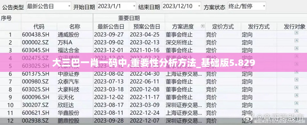 大三巴一肖一码中,重要性分析方法_基础版5.829