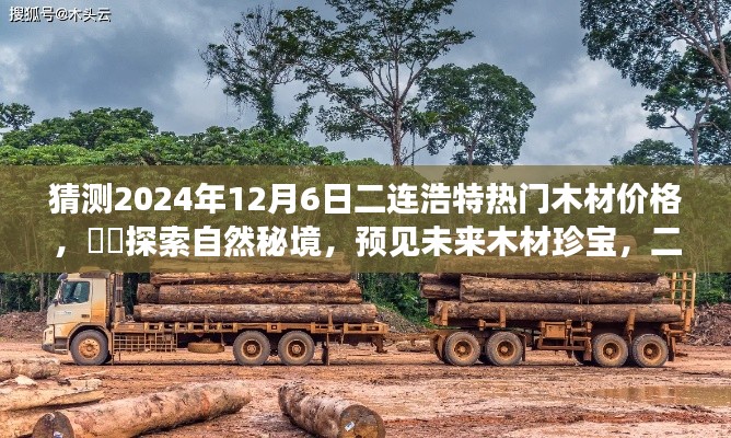 二连浩特木材市场展望，揭秘未来木材珍宝，探索价格趋势之旅（2024年预测）