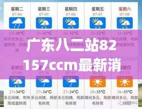 广东八二站82157ccm最新消息,快速响应策略方案_WP版4.257
