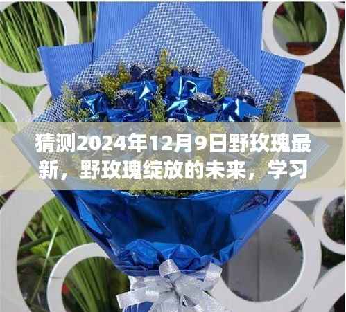 野玫瑰绽放的奇妙之旅,学习变化与自信成就的未来展望,预测至2024年12月9日