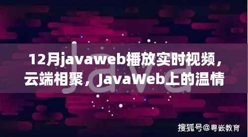 12月javaweb播放实时视频,云端相聚,JavaWeb上的温情视频时光