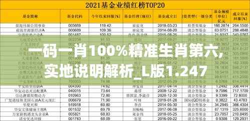 一码一肖100%精准生肖第六,实地说明解析_L版1.247