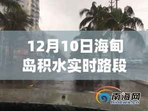 海甸岛积水实时路段观察报告——特别关注日(12月10日)