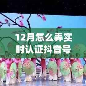 抖出冬日魅力,12月实时认证抖音之旅探寻内心桃花源