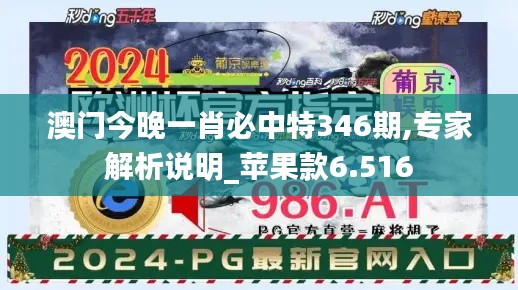 澳门今晚一肖必中特346期,专家解析说明_苹果款6.516