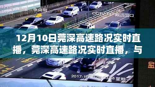 莞深高速路况实时直播,与自然美景的不期而遇