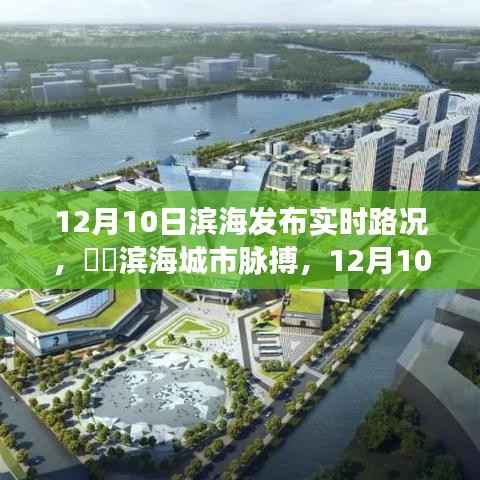 滨海城市脉搏,深度解析滨海城市实时路况报告(12月10日)