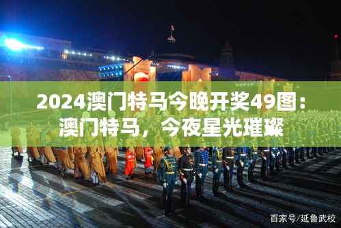 2024澳门特马今晚开奖49图:澳门特马,今夜星光璀璨