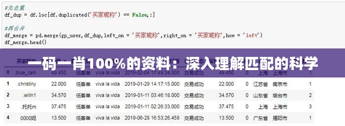 一码一肖100%的资料:深入理解匹配的科学
