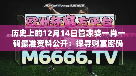 历史上的12月14日管家婆一肖一码最准资料公开:探寻财富密码的非凡之旅