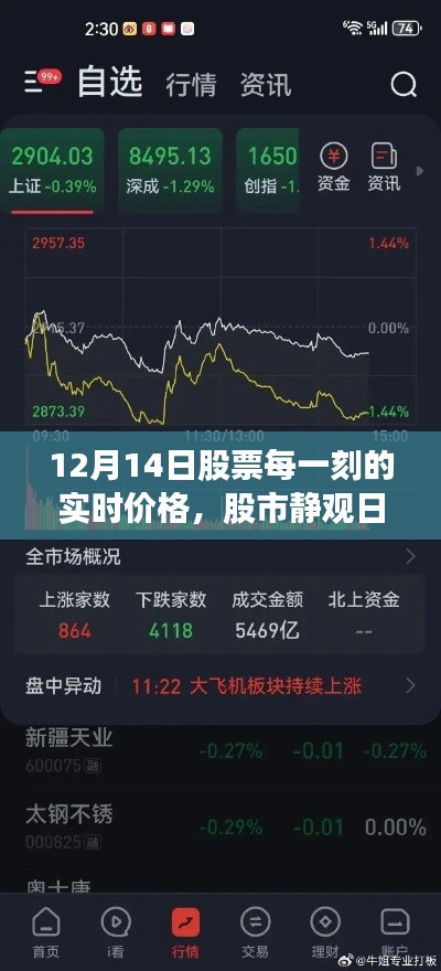 探寻心灵净土,股市静观日与实时股票行情解析(12月14日)