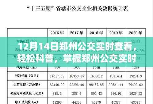 12月14日郑州公交实时查看指南,轻松掌握公交动态,无忧出行