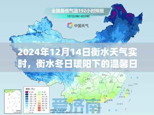 衡水冬日暖阳下的奇遇,2024年12月14日天气实时与温馨日常