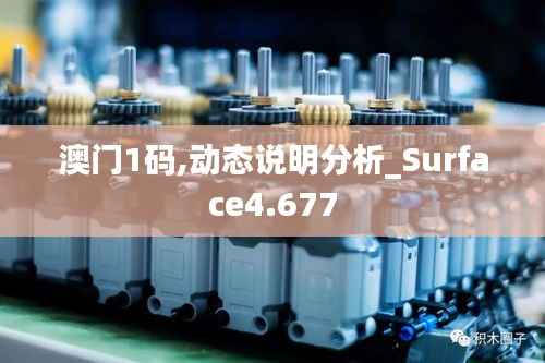 澳门1码,动态说明分析_Surface4.677