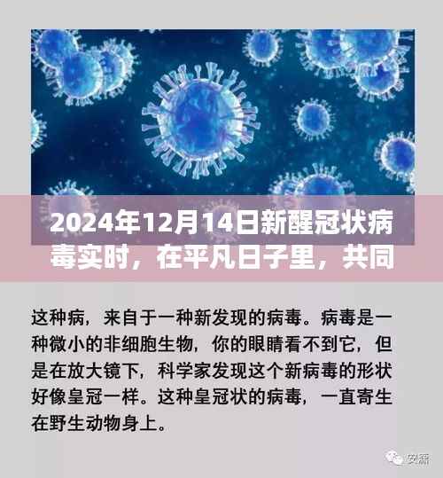 新醒冠状病毒实时更新,平凡日子里的共同期待与温馨故事