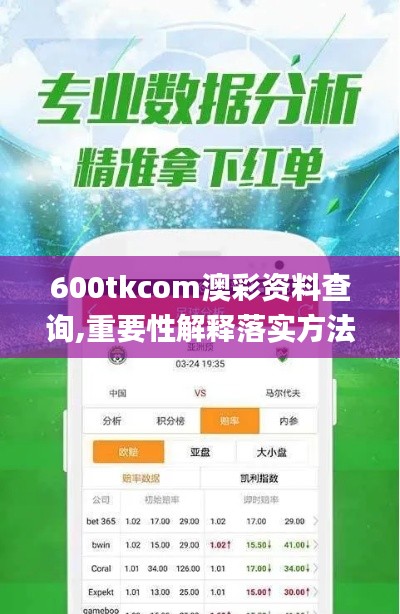 600tkcom澳彩资料查询,重要性解释落实方法_GM版8.481