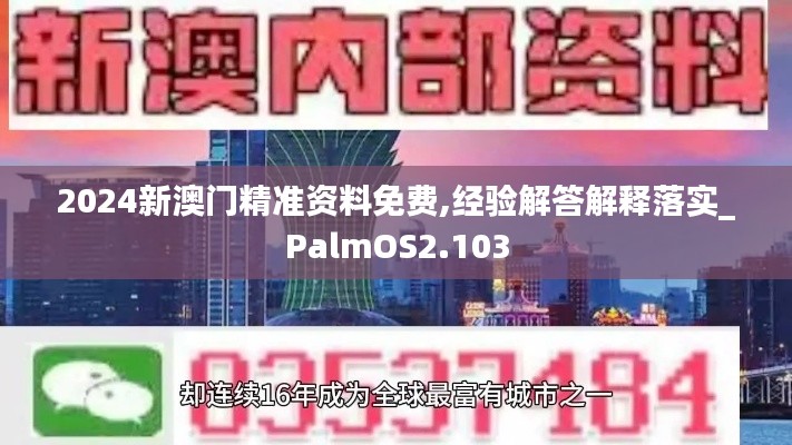 2024新澳门精准资料免费,经验解答解释落实_PalmOS2.103