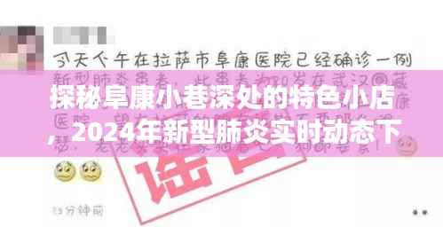 笨鸟先飞 第4页