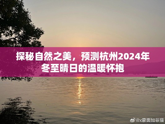 探秘杭州自然之美,2024年冬至晴日的温暖预测