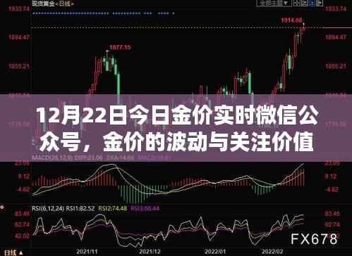 12月22日金价实时播报,波动背后的关注价值