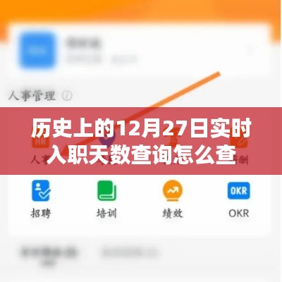 实时入职天数查询方法,历史入职日期查询攻略
