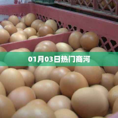 商河热门资讯速递,01月03日概览