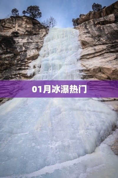 昙花一现 第3页