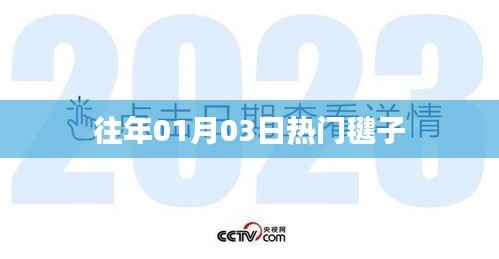 热门毽子舞动风潮,历年一月初三盛事回顾
