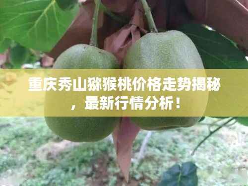重庆秀山猕猴桃价格走势揭秘,最新行情分析!