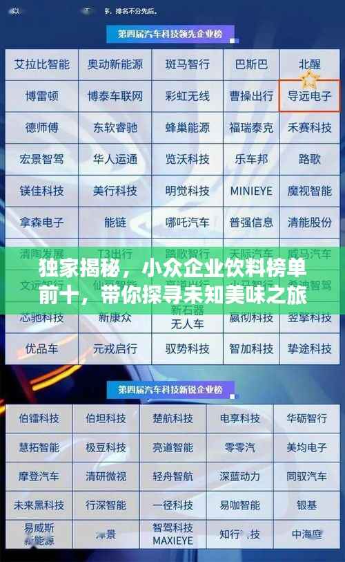 独家揭秘,小众企业饮料榜单前十,带你探寻未知美味之旅