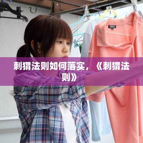 刺猬法则如何落实,《刺猬法则》