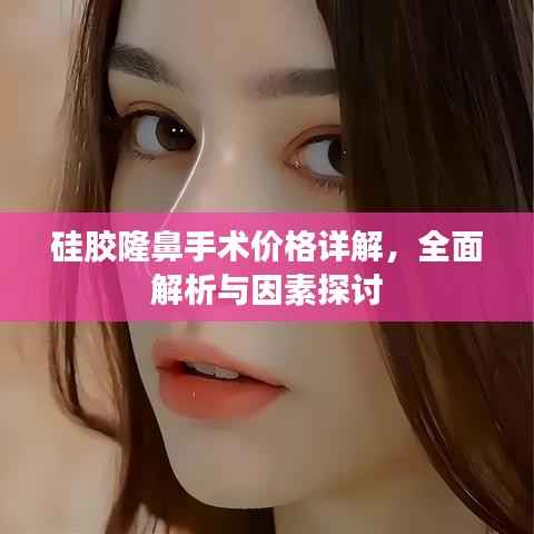 硅胶隆鼻手术价格详解，全面解析与因素探讨