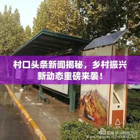 村口头条新闻揭秘,乡村振兴新动态重磅来袭!