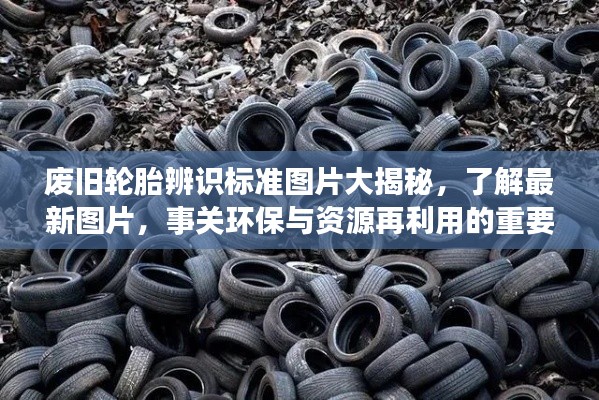 废旧轮胎辨识标准图片大揭秘,了解最新图片,事关环保与资源再利用的重要性
