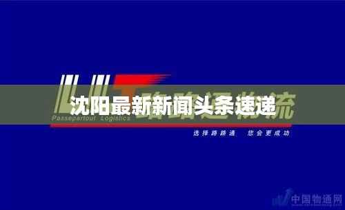 沈阳最新新闻头条速递